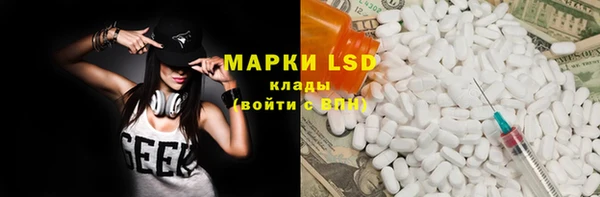 индика Каменка