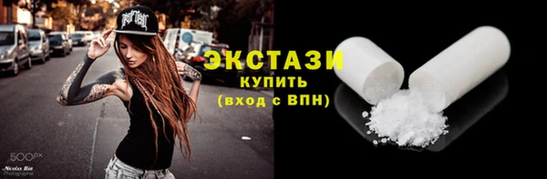 индика Каменка