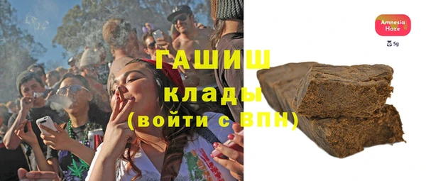 индика Каменка