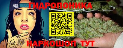 Альфа ПВП Усть-Илимск