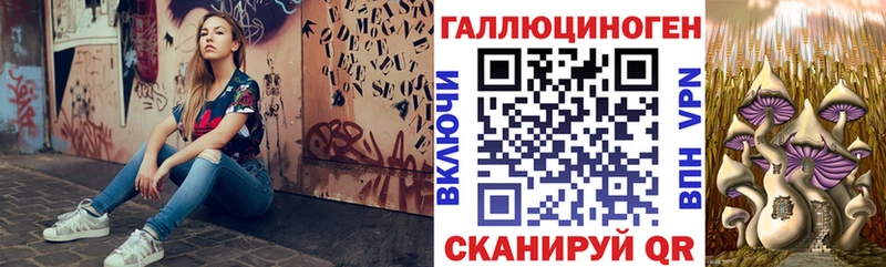 наркошоп  Новомосковск  Псилоцибиновые грибы мицелий 