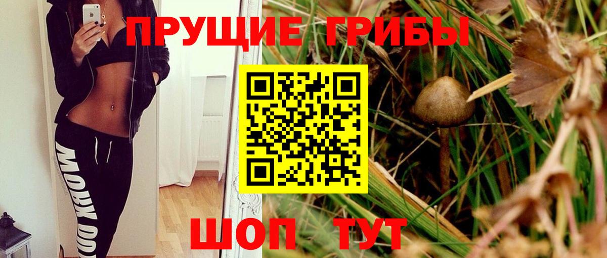 Новомосковск  Галлюциногенные грибы мухоморы  Вход с VPN 